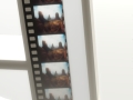 frame 04 link