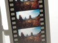 frame 05 link