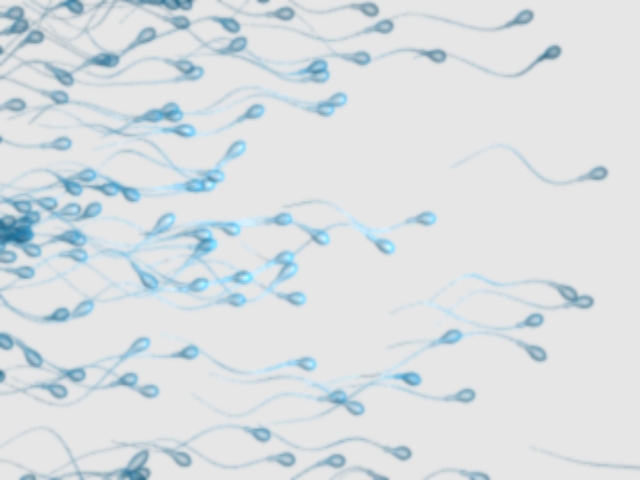 fram_01