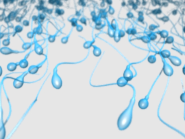 fram_02