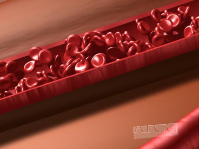 fram_03