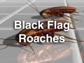 BlackFlag