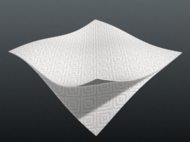 fram_02