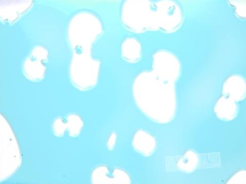 fram_04