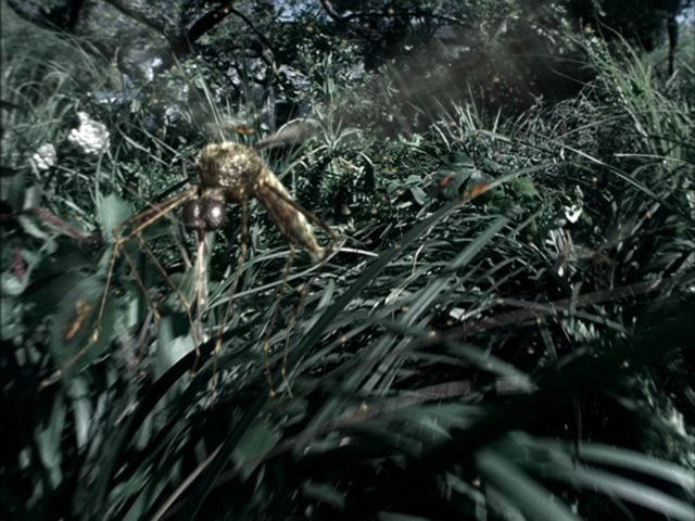 fram_01