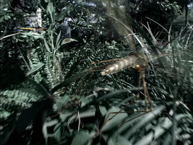 fram_02