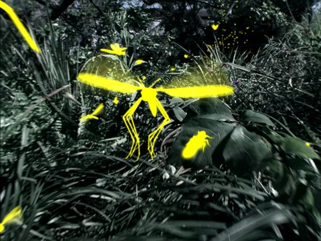 fram_04
