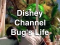 DisneyBeetle