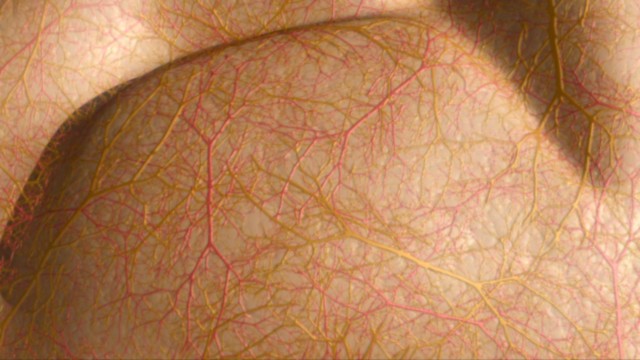 fram_03