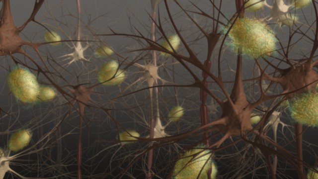 fram_07