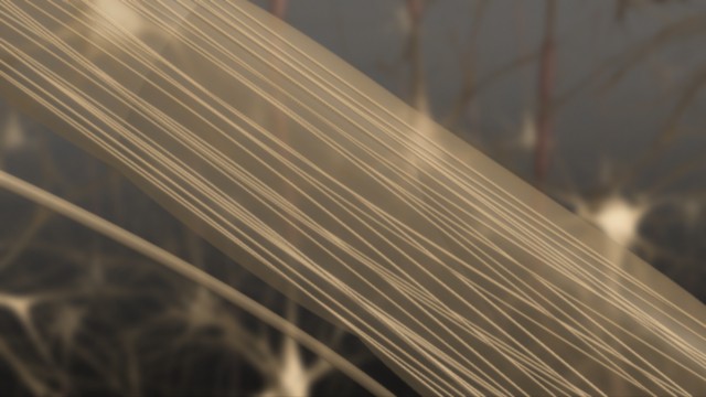 fram_09
