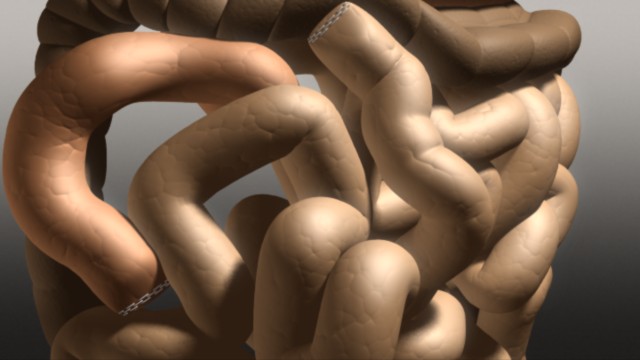 fram_13