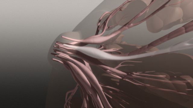 fram_03