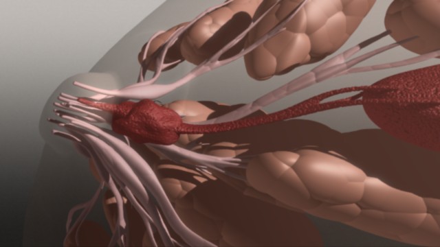 fram_05