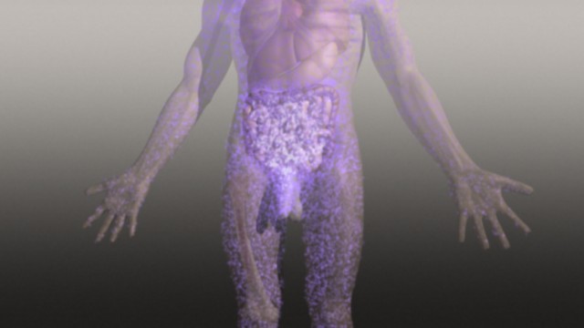 fram_06