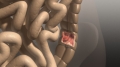 frame 10 link