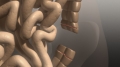 frame 11 link