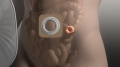 frame 13 link