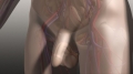 frame 11 link