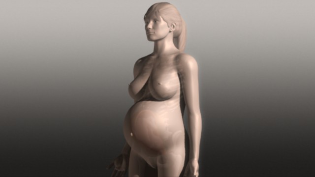 fram_21