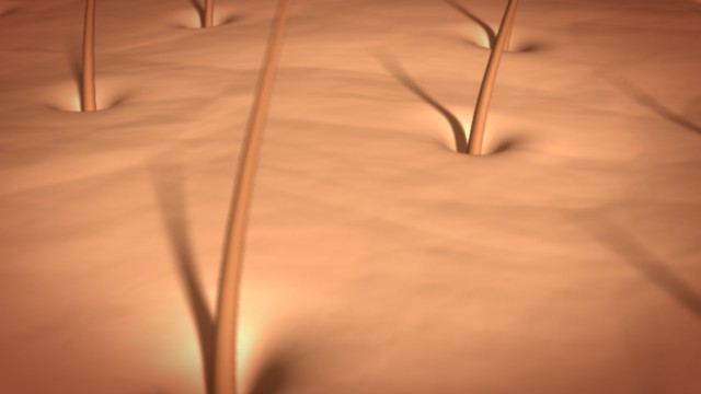 fram_01