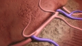 frame 11 link