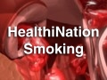 HN_smok