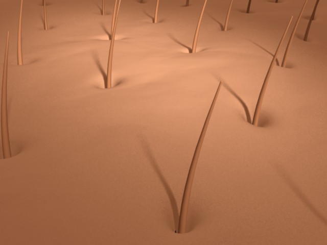 fram_03