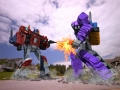 frame 10 link