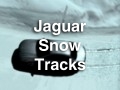JaguarSnowTrack