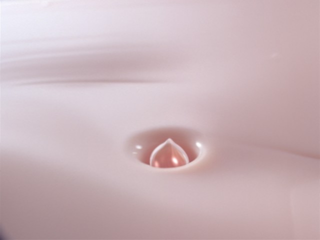 fram_02