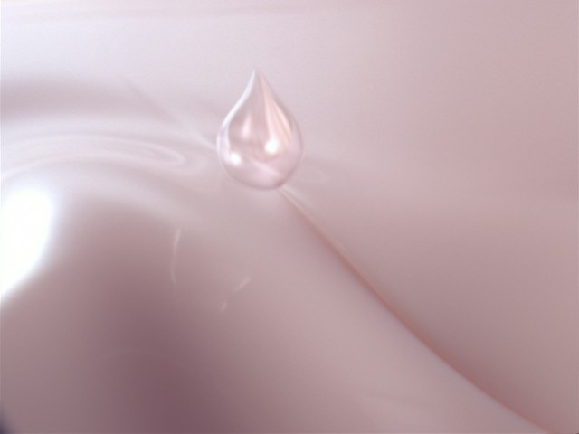 fram_03