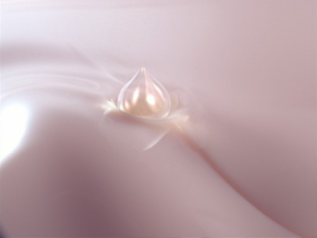 fram_04