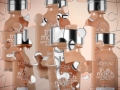 frame 14 link