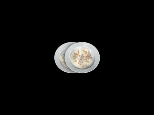 fram_04