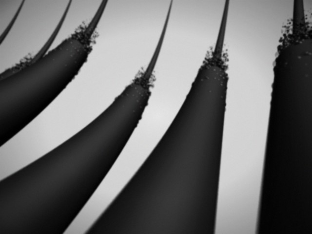 fram_07