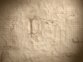 frame 29 link