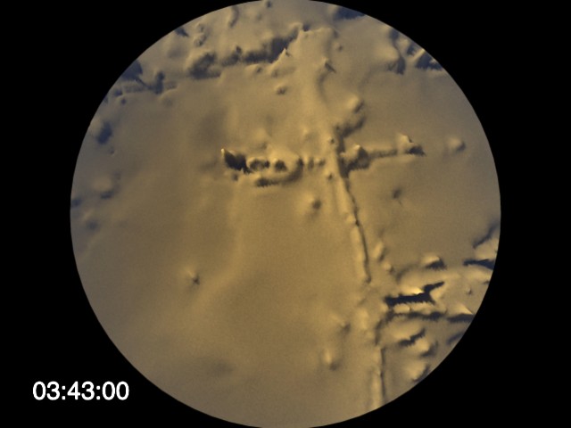 fram_15