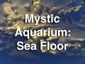 Mystic