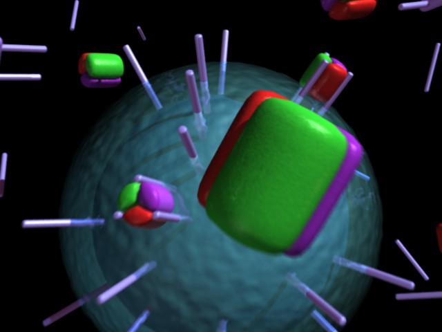 fram_08
