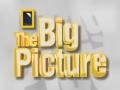 frame 10 link