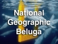 NatGeoBeluga
