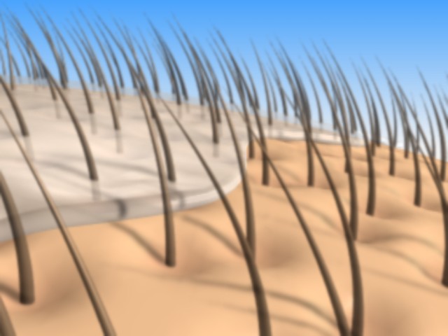 fram_04