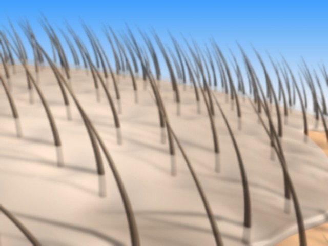 fram_05