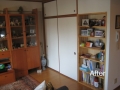 frame 15 link