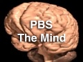 PBSMind