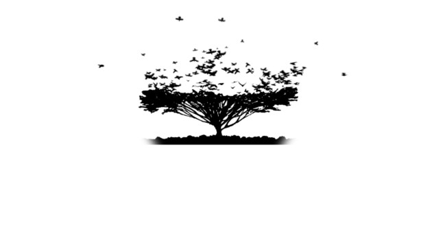 fram_03