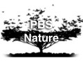 PBSNature