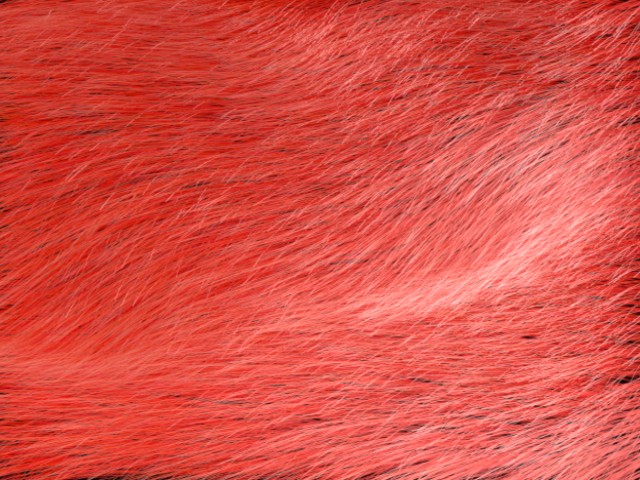 fram_02