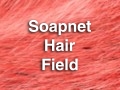 SoapnetHair